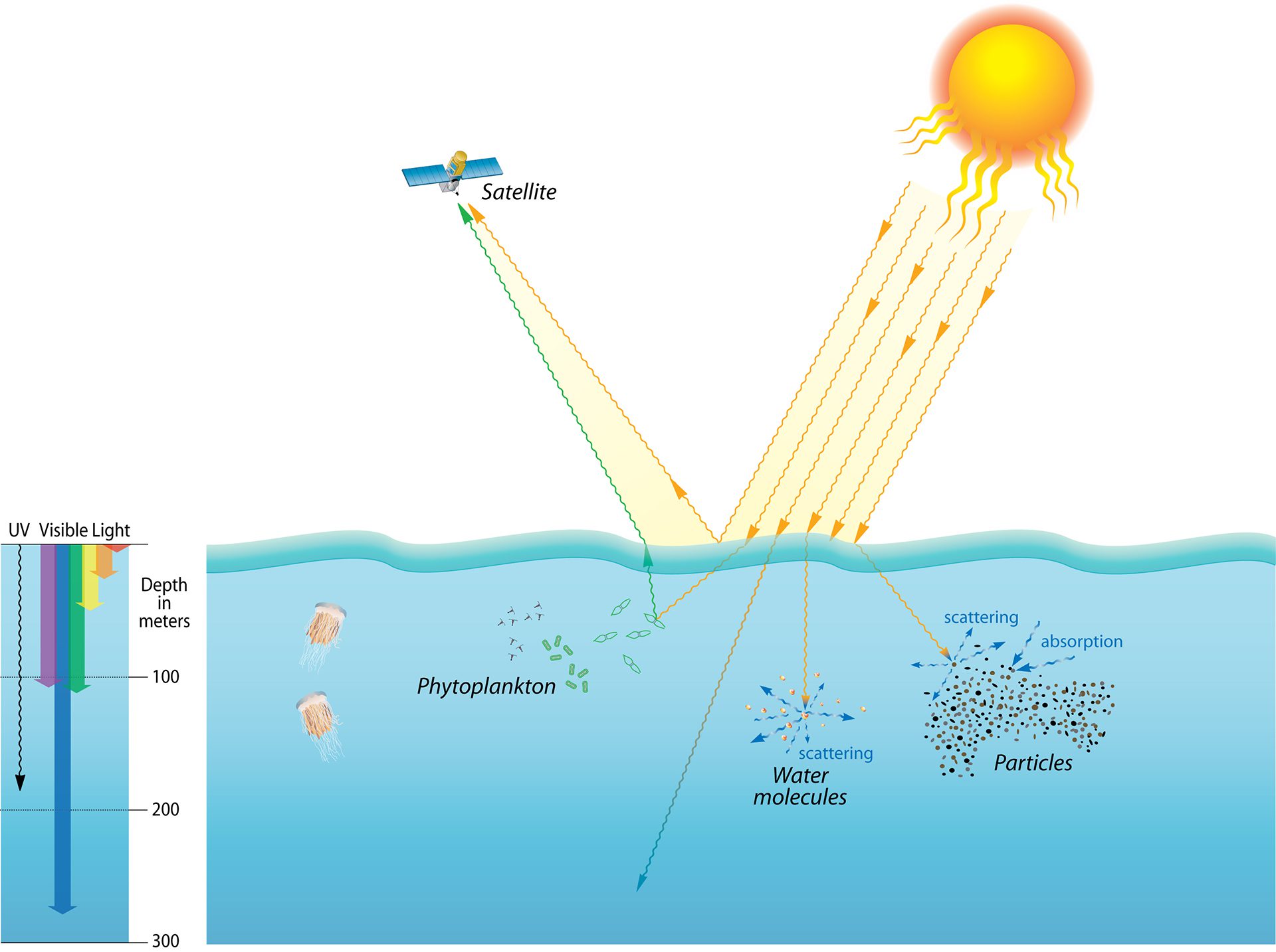 Fisheries Students and Global Experts in Aquaculture | 𝐄𝐟𝐟𝐞𝐜𝐭𝐬 𝐨𝐟 𝐥𝐢𝐠𝐡𝐭 ...