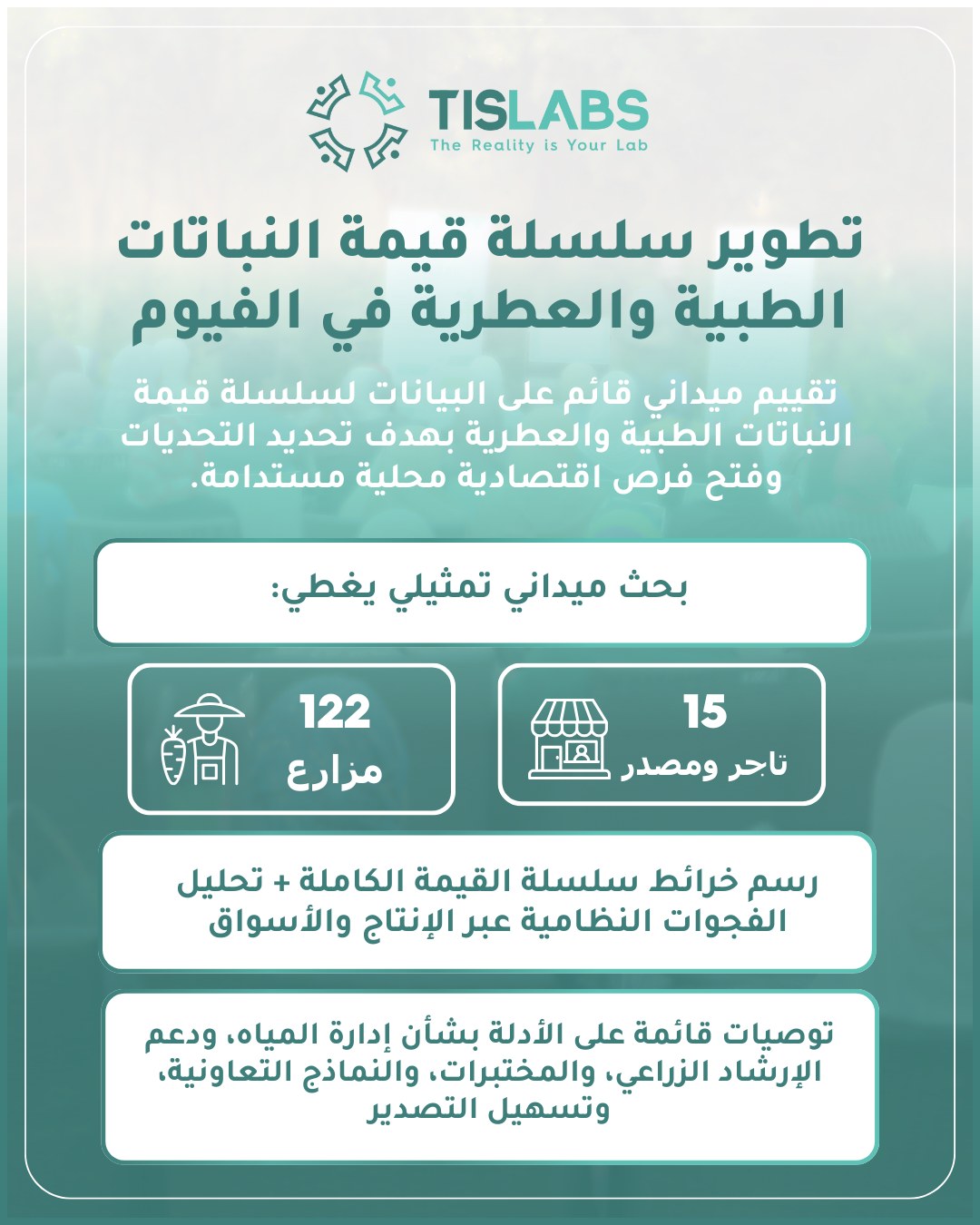 TIS Labs | Cairo