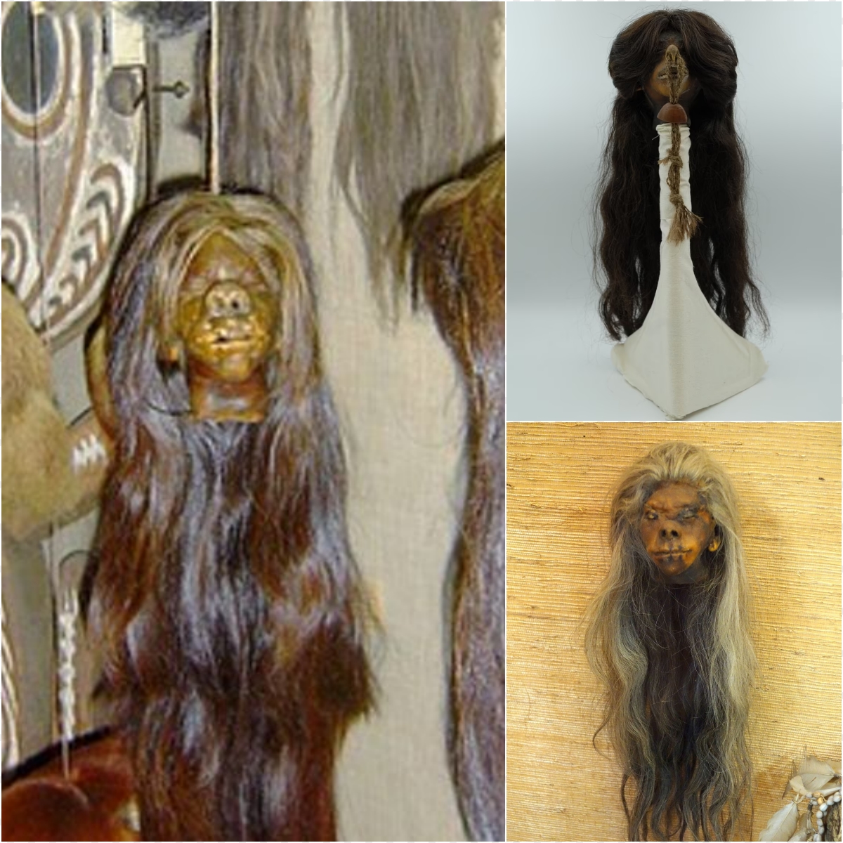 Archaeology - Chilling 'shrunken head' on display: Canadian museum ...