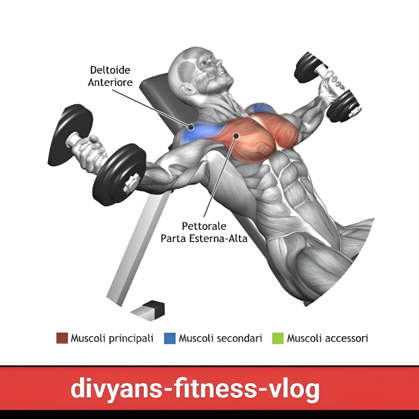divyans-fitness-vlog - 🔹 3️⃣ Incline Chest Fly Sets: 3 × 12–15 reps ...