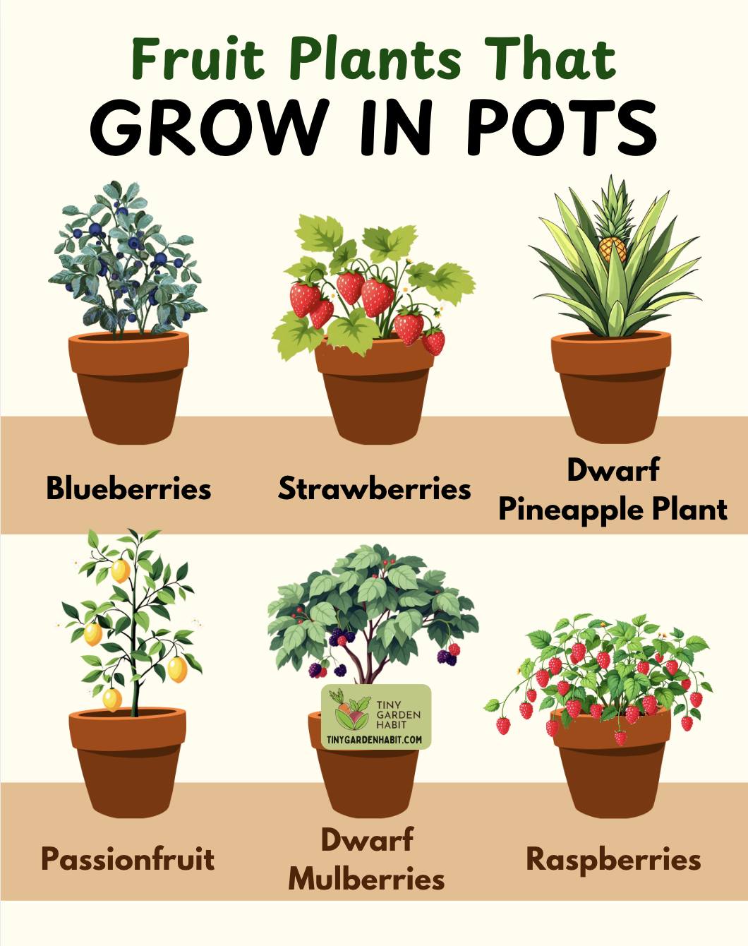 Tiny - Big Harvests in Small Spaces 🌞 Many fruit plants thrive in ...