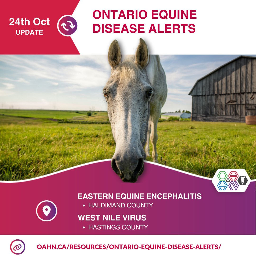 OAHN Equine
