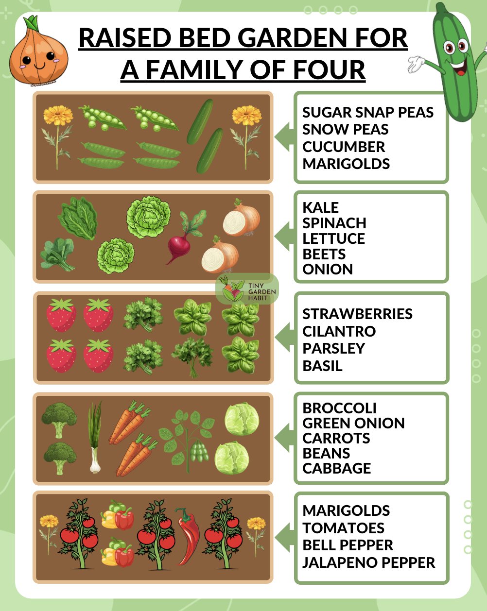 Tiny - Family Garden Layout Guide 🥕 Planning a raised bed garden for ...