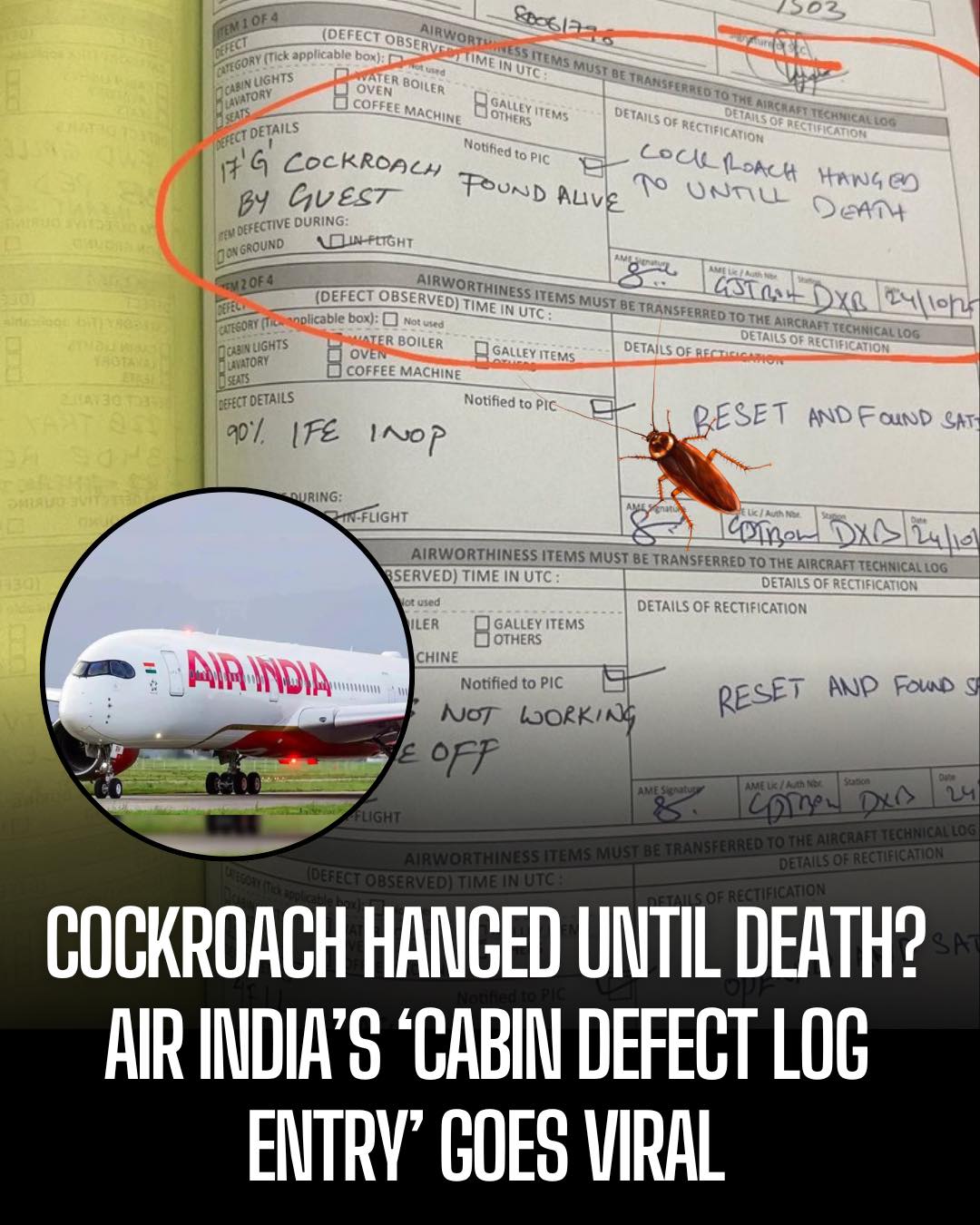 Behind - Air India has gone viral after a bizarre cabin log entry from ...