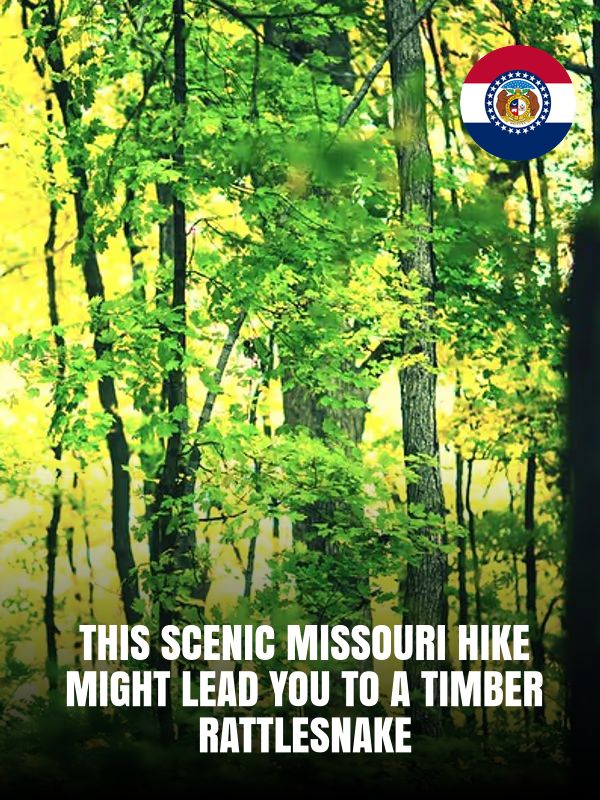I Love - This Scenic Missouri Hike Might Lead You To A Timber ...