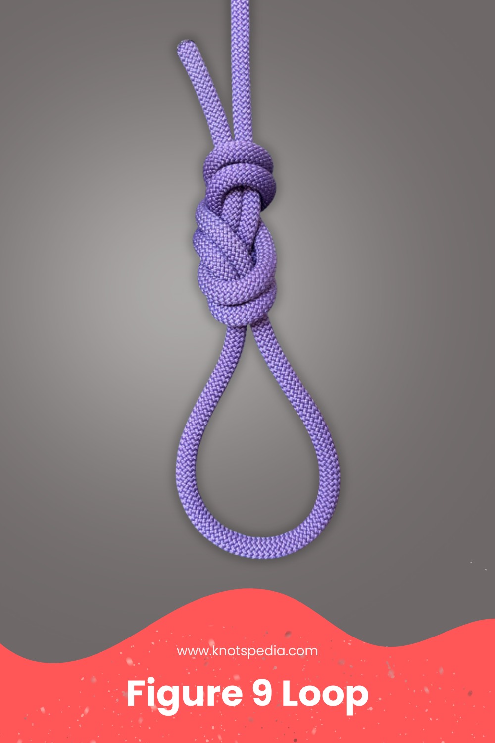 Knotspedia - Figure 9 Loop Knot: Stronger Than Figure 8… But Why Don’t ...