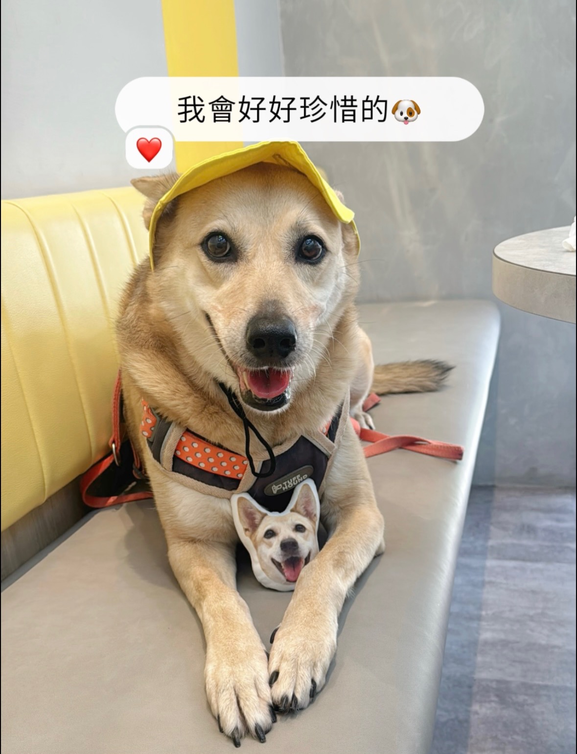 bunny&まーみん様♡ありがとうございます♡ Facebook