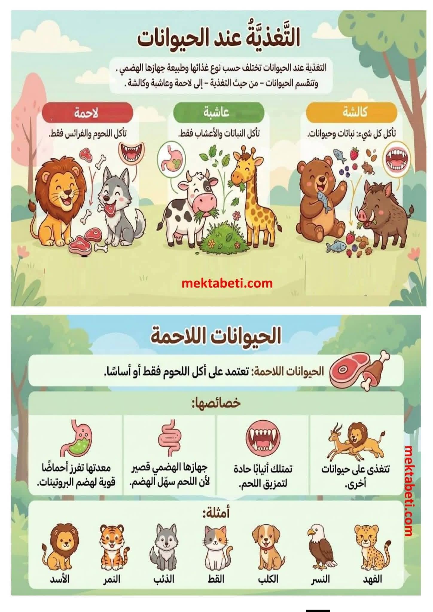 لنتألّق مع المربية يسرى | 🍀التغذية عند الحيوان | Facebook