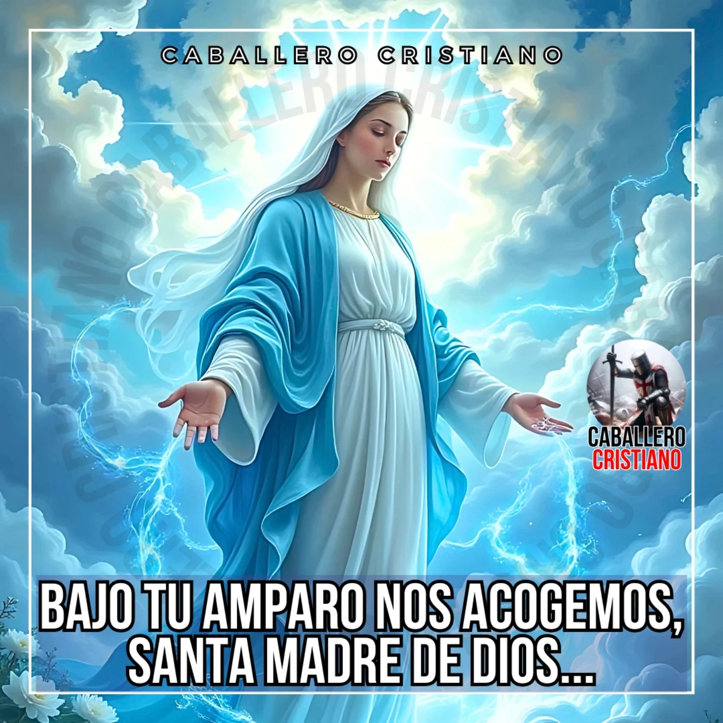 Caballero - ¡Viva la Santísima Virgen María! #teamomamá #virgenmaria # ...