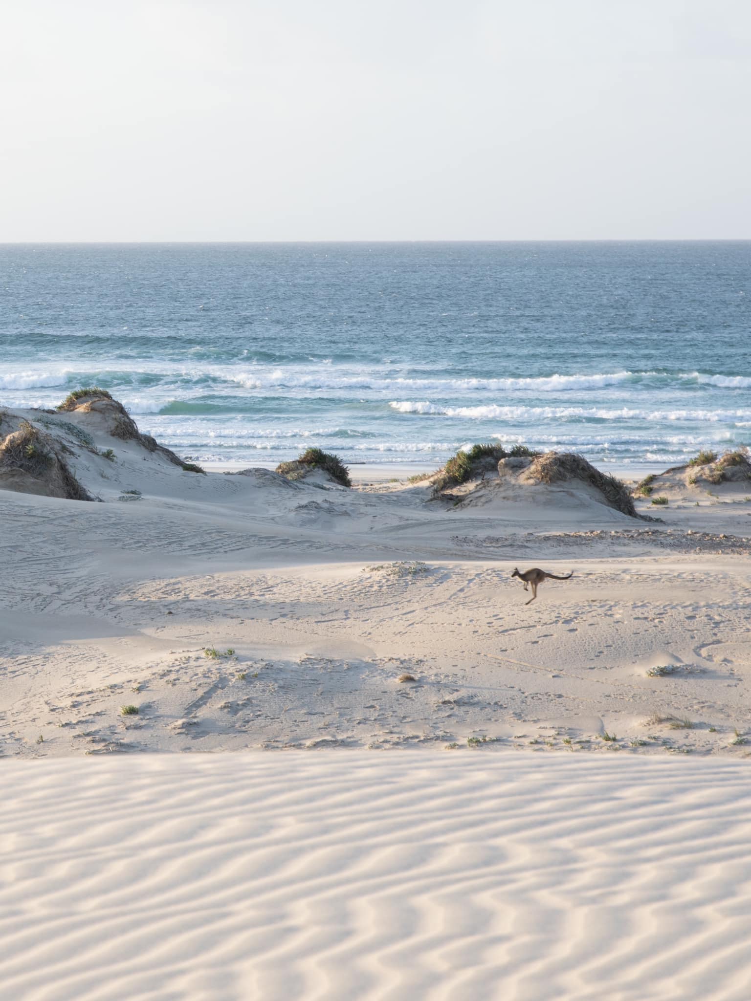 Port Lincoln is Paradise | Port Lincoln SA
