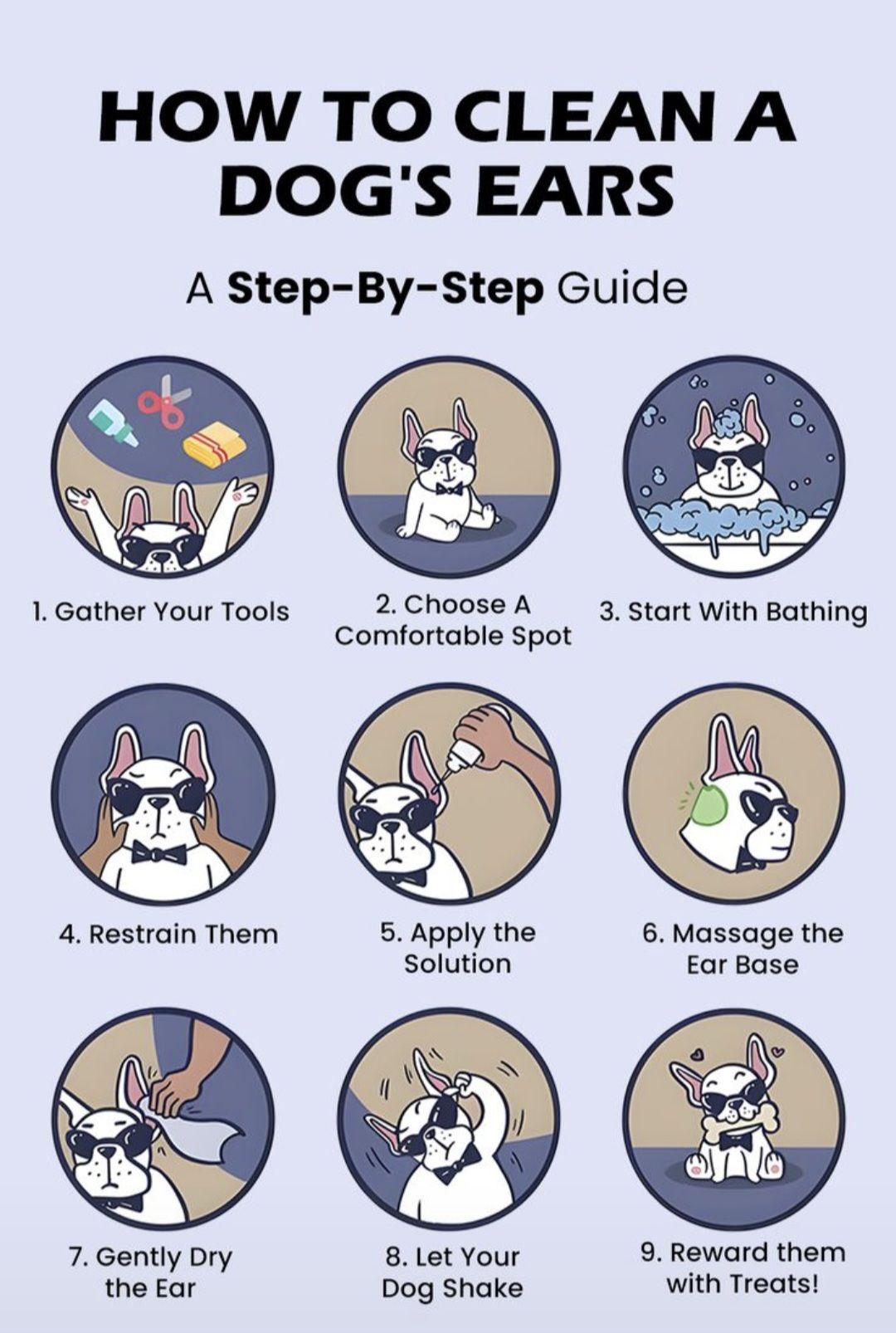 Fresh Look at Petropolis K9 How To Clean Your Dog S Ears Without