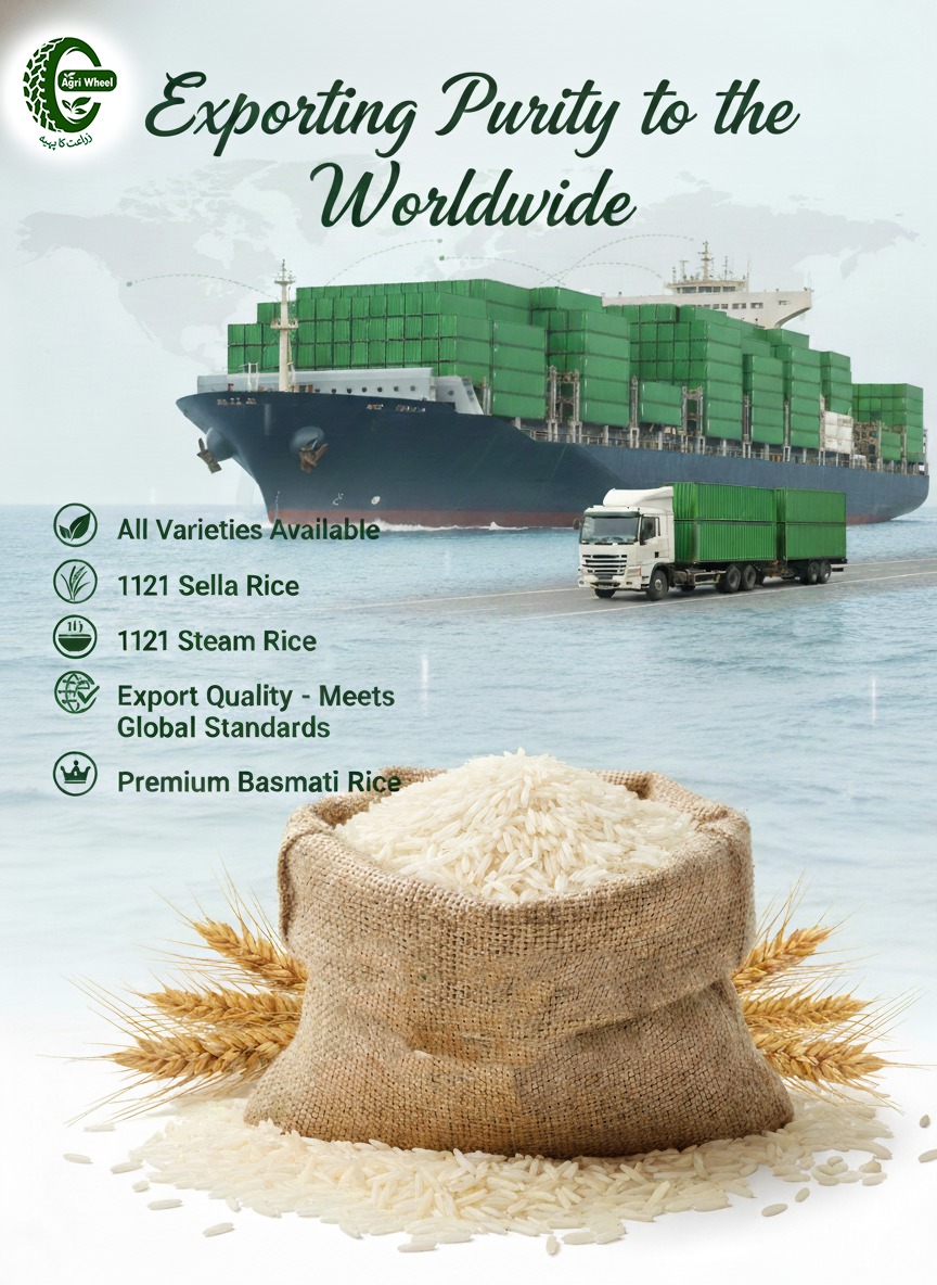Agriculture - 🌾 Agri Wheel Impex – From Pakistan to the World 🌍 We ...