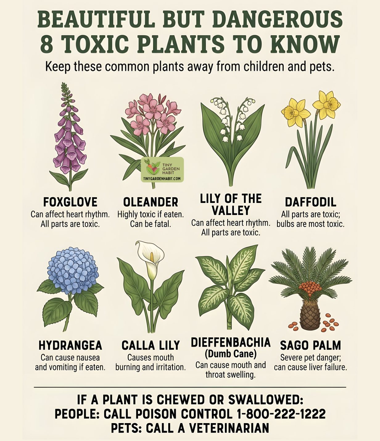 HANA PLANTS様　確認用 Some of the prettiest plants in my garden need the most careful