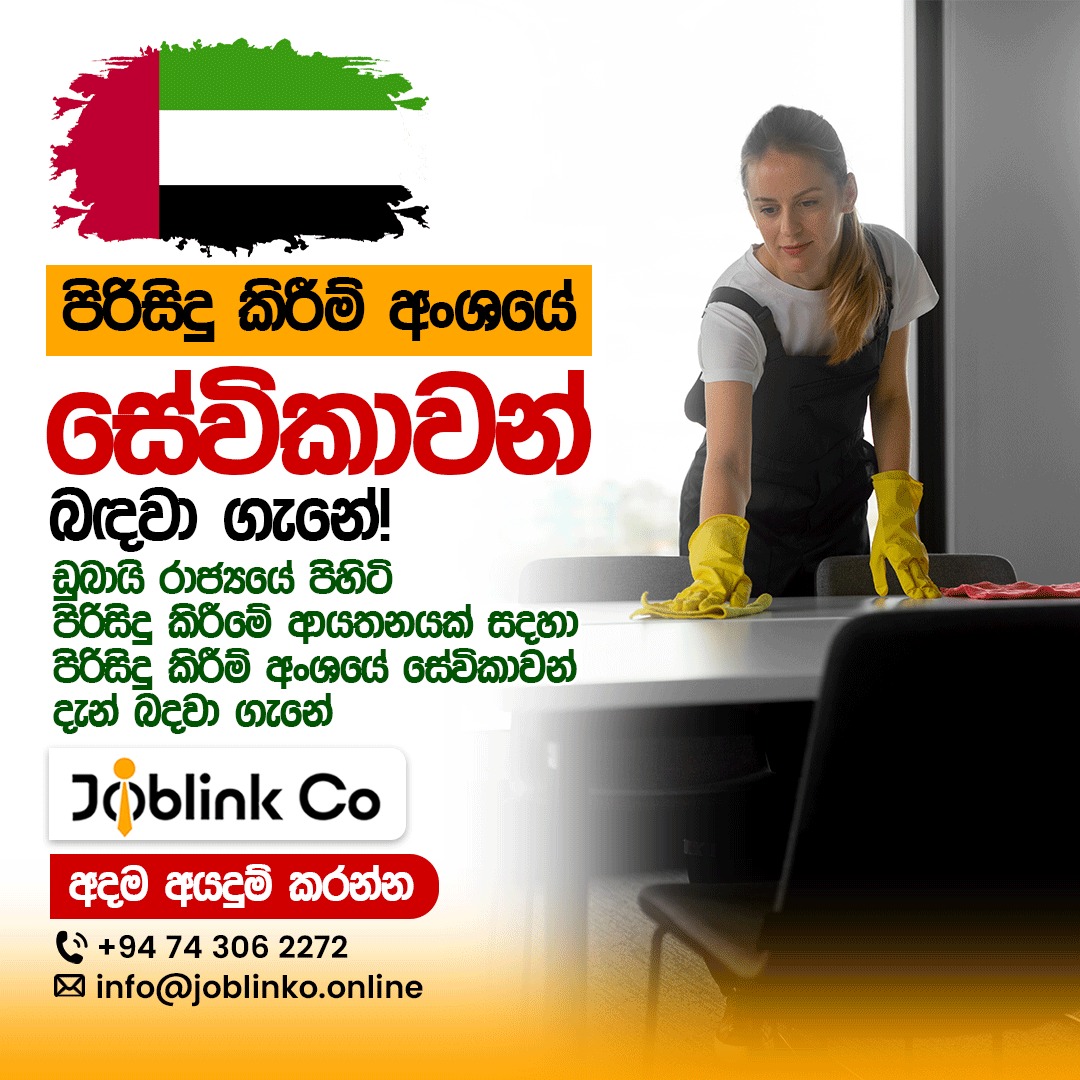 JobLink Co. - 🚀 We’re Hiring! 🚀 Join Joblink Co as an... | Facebook