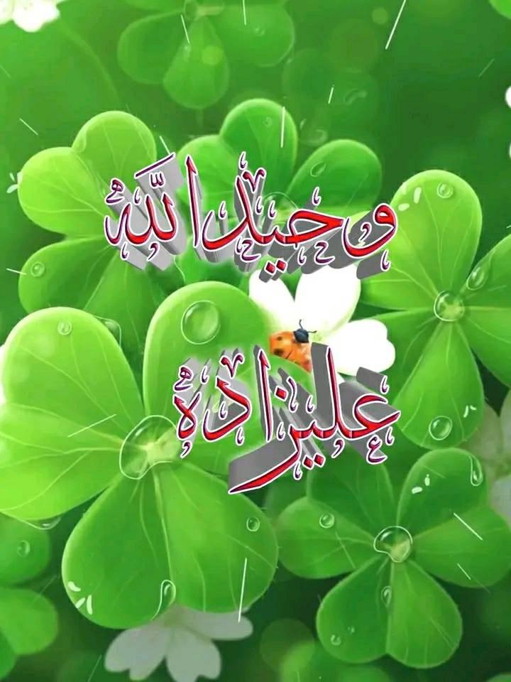 Waheedullah Alizada