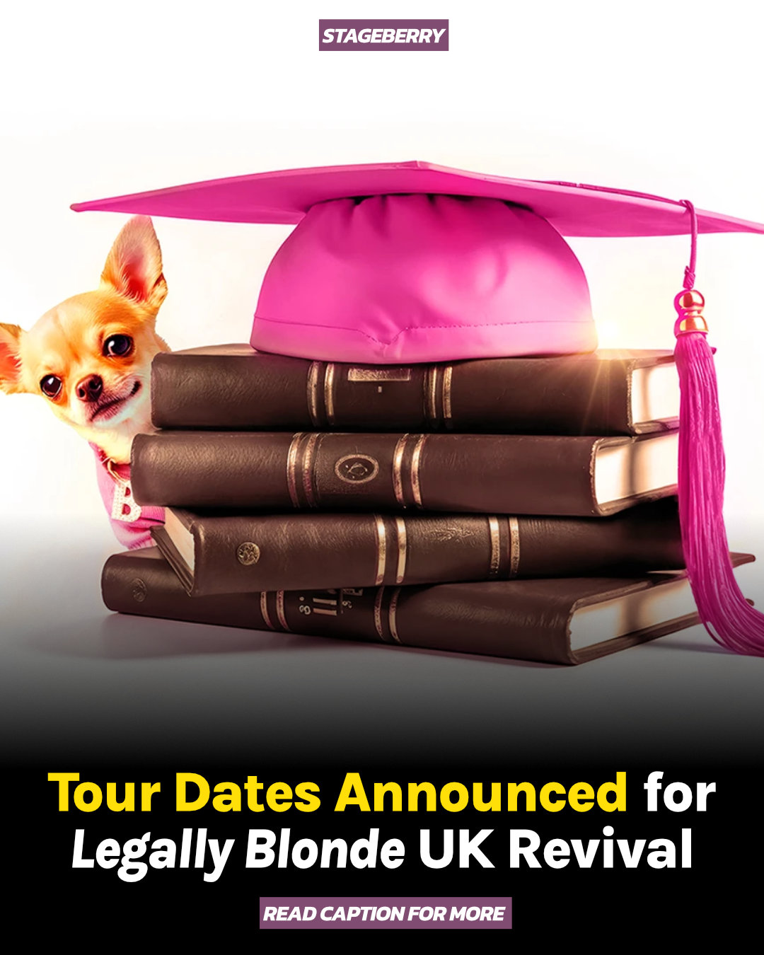 Musicals - Legally Blonde The Musical is back and hitting the road ...