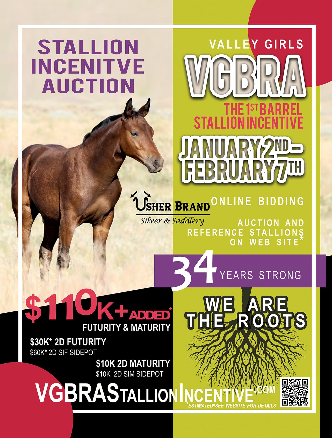 VGBRA Stallion Incentive | Touchet WA