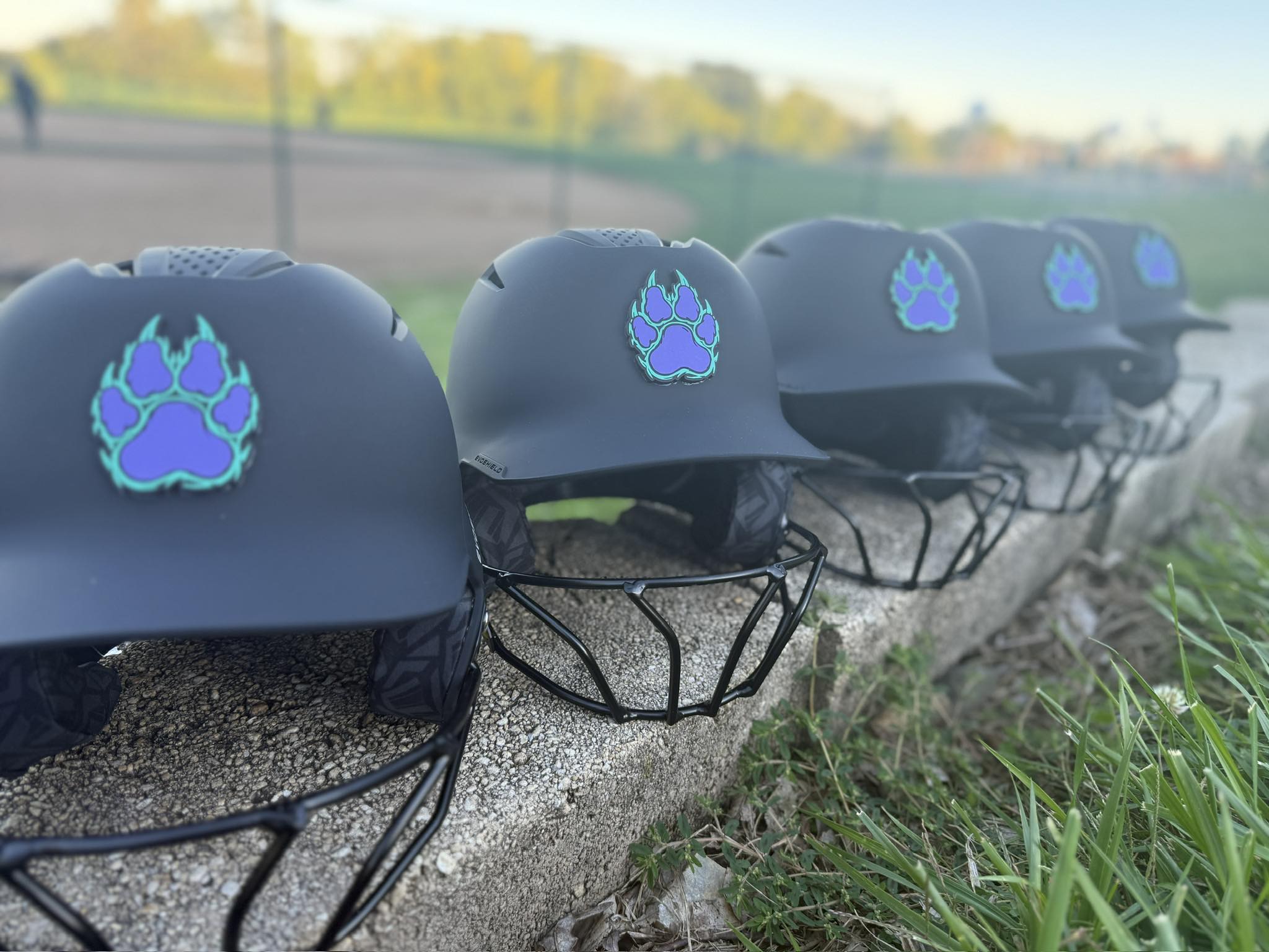 PA Lady Wolves Fastpitch Softball | York PA