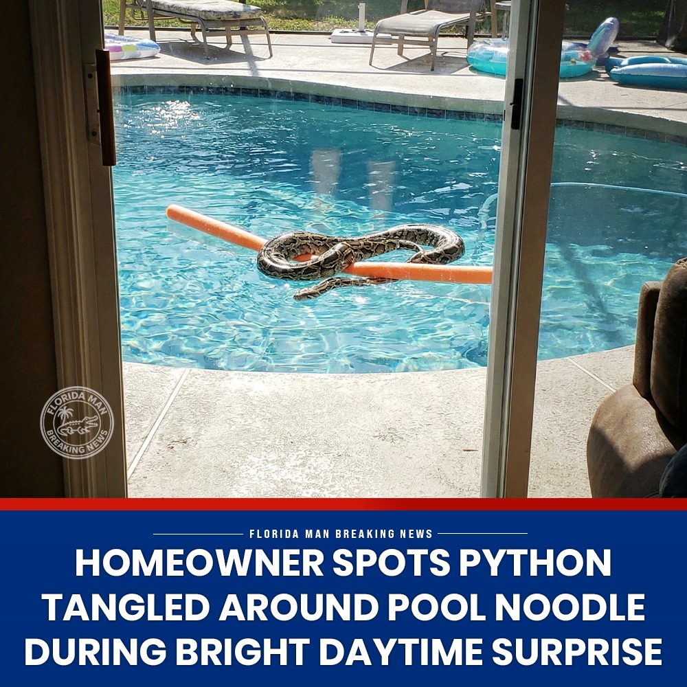 Florida - A homeowner recorded a surprising wildlife moment after ...