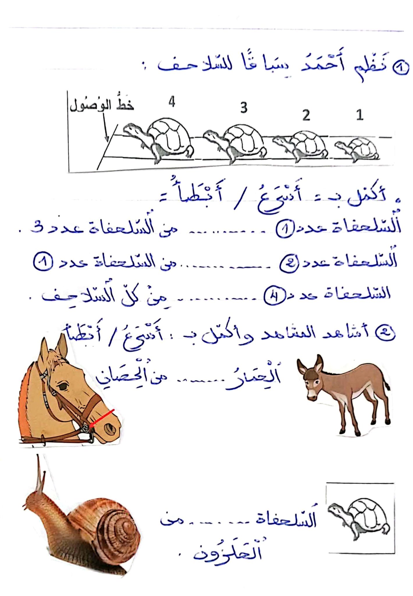 لنتألّق في السنة الثّانية مع المربية يسرى | 🍀لأبطال السنة الثانية ...