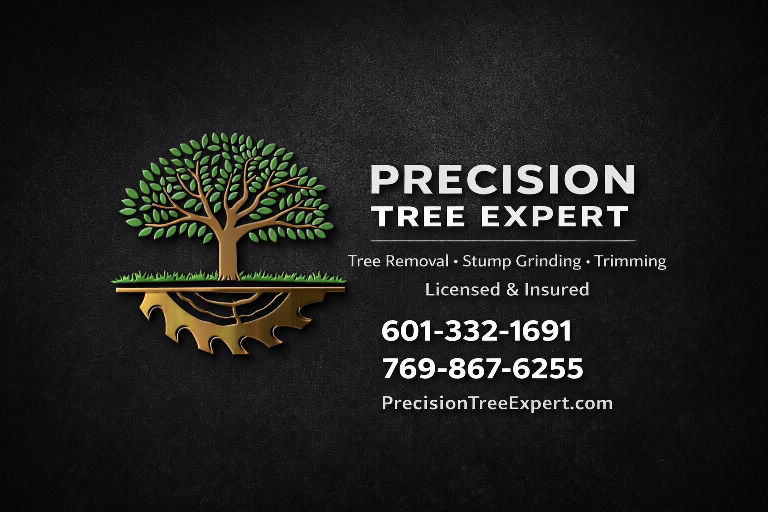 Precision Tree Expert LLC | Ridgeland MS