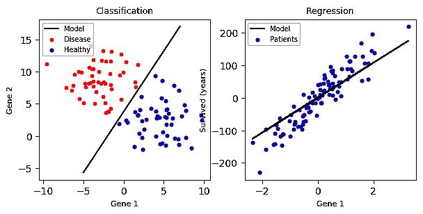DATAsense - 📈What Are Classification and Regression📈 🔴 Classification ...