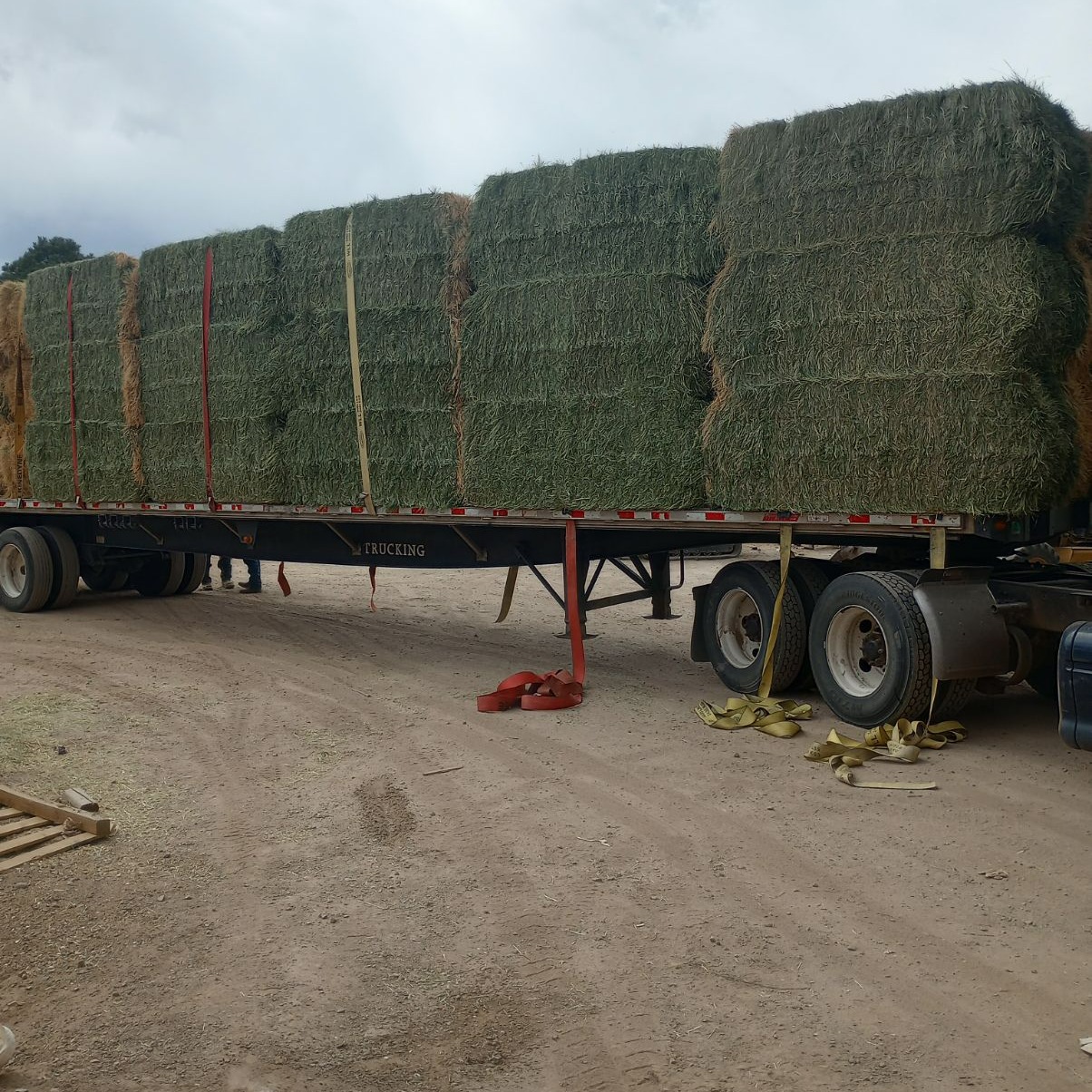 The HAY Ranch