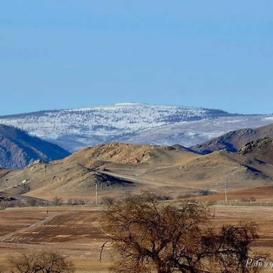 Lkhagvadorj Chimed | Ulaanbaatar