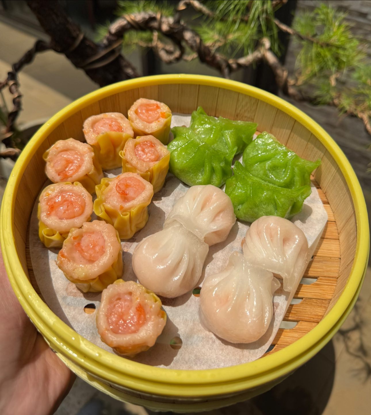 Mo Pao Sum - Đừng quên order dimsum tại Mo Pao Sum để lấp... | Facebook