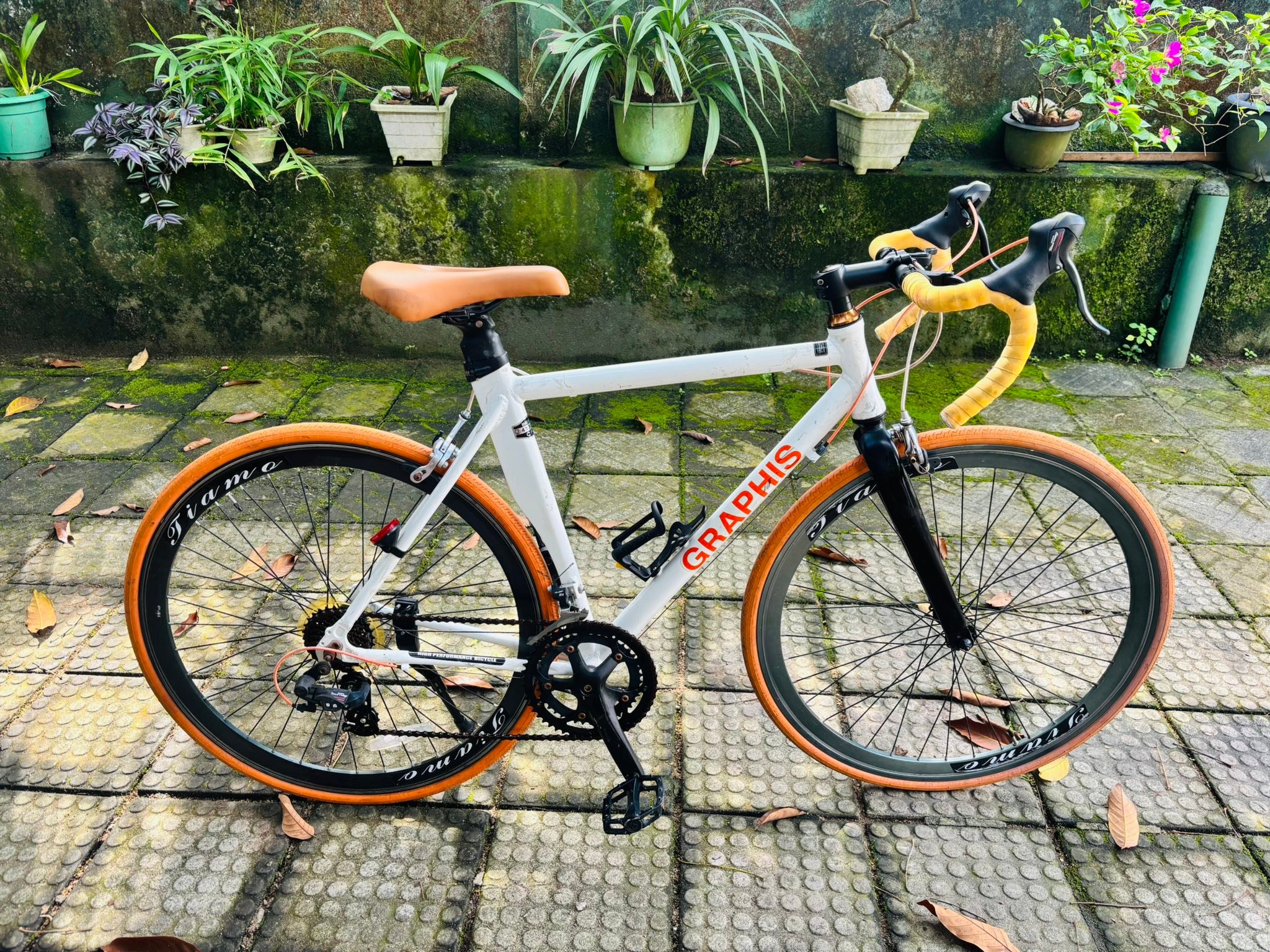 Graphis ten speed bicycle for sale