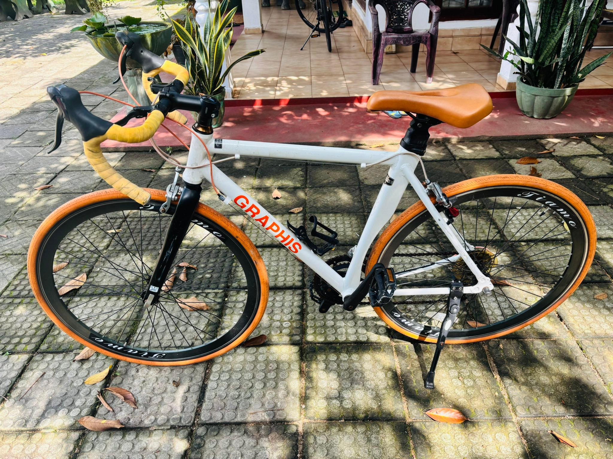 Graphis ten speed bicycle for sale