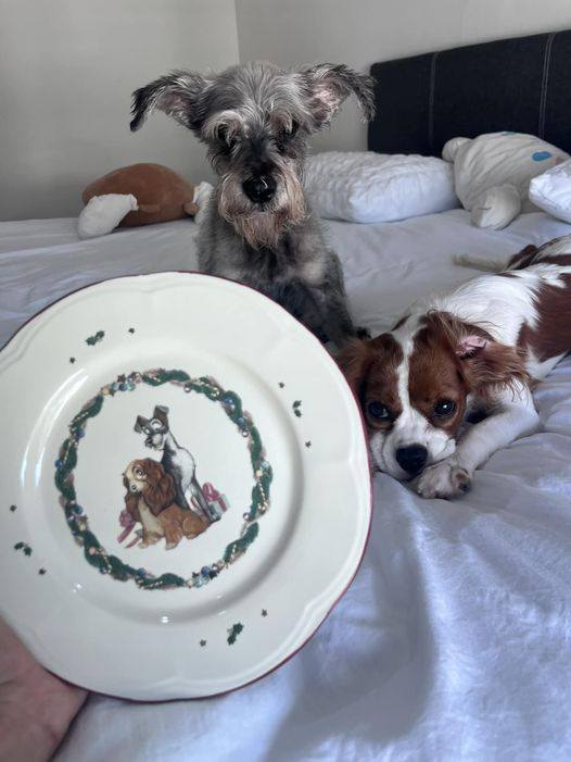 Zara Home's New Collection Featuring Lady and the Tramp Inspired