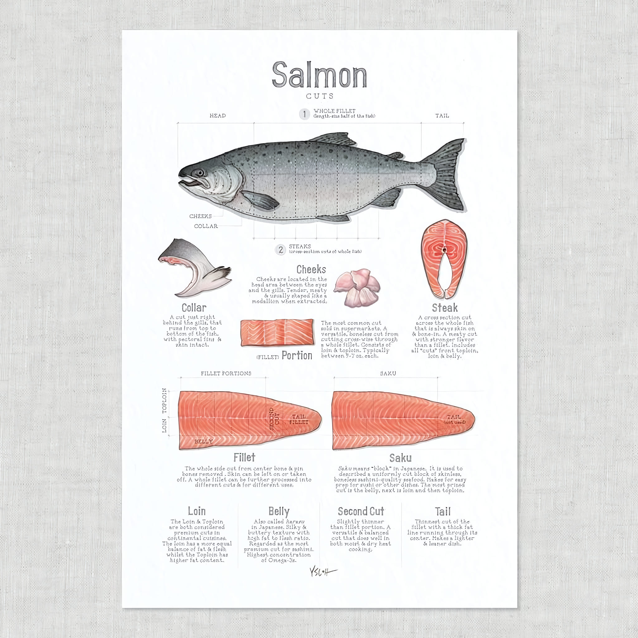 Finest - Salmon _ Cuts _ Poster _ Illustrations _ Art Print _ Home ...