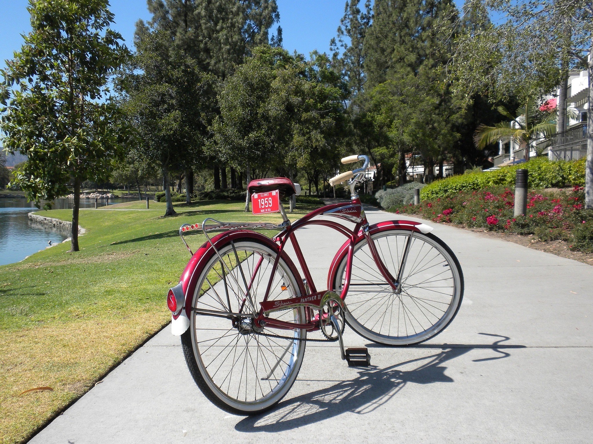 1959 Schwinn Speedster radiant green