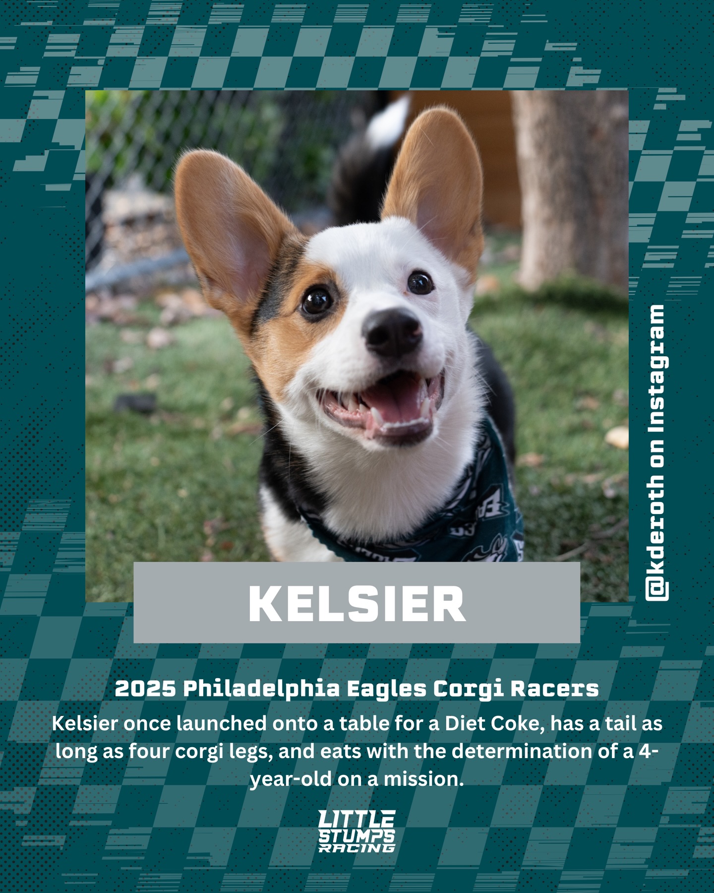 Meet the 2025 @philadelphiaeagles... - Little Stumps Racing | Facebook