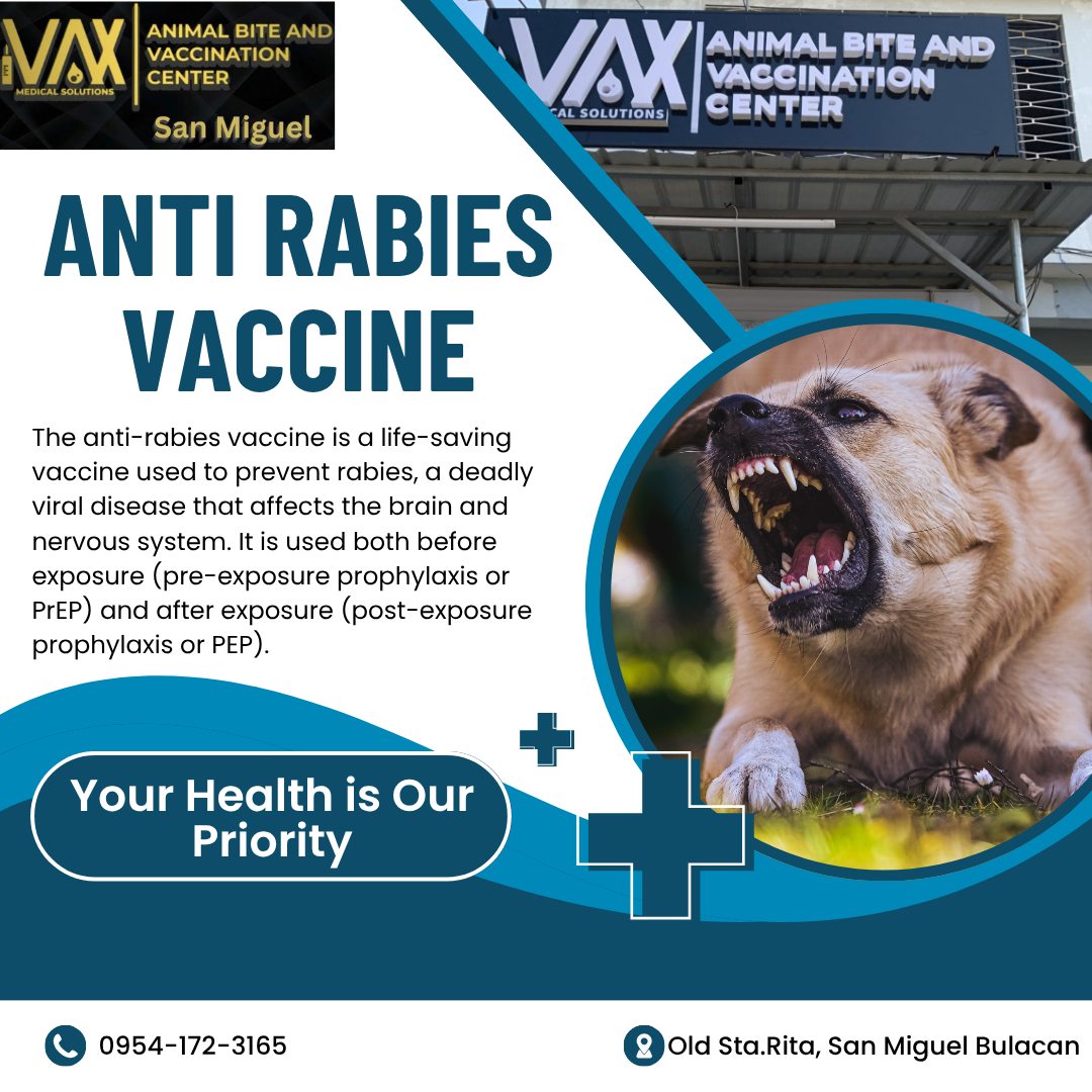 Ang anti-rabies vaccine ay isang bakuna na ginagamit upang maiwasan ang ...