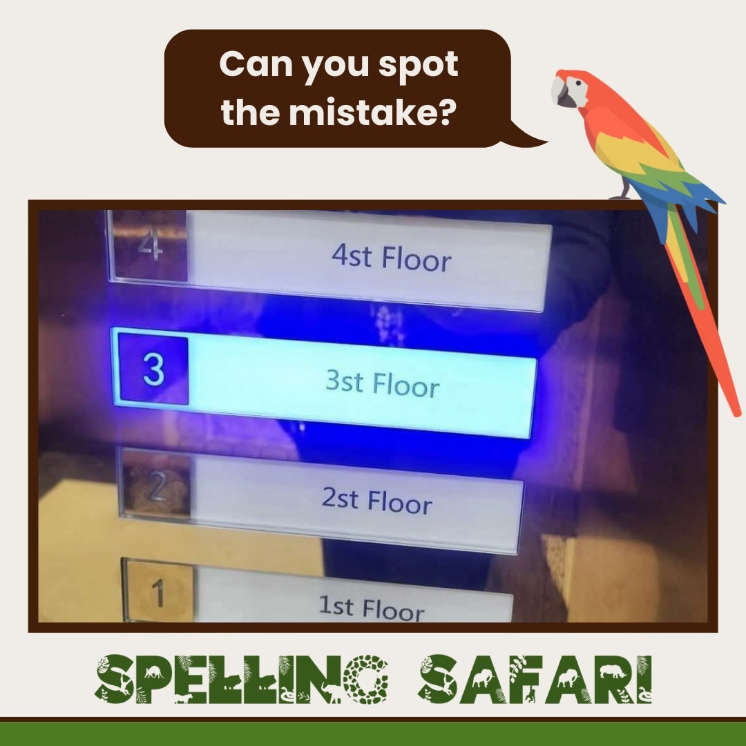 Spelling Safari | Detroit MI