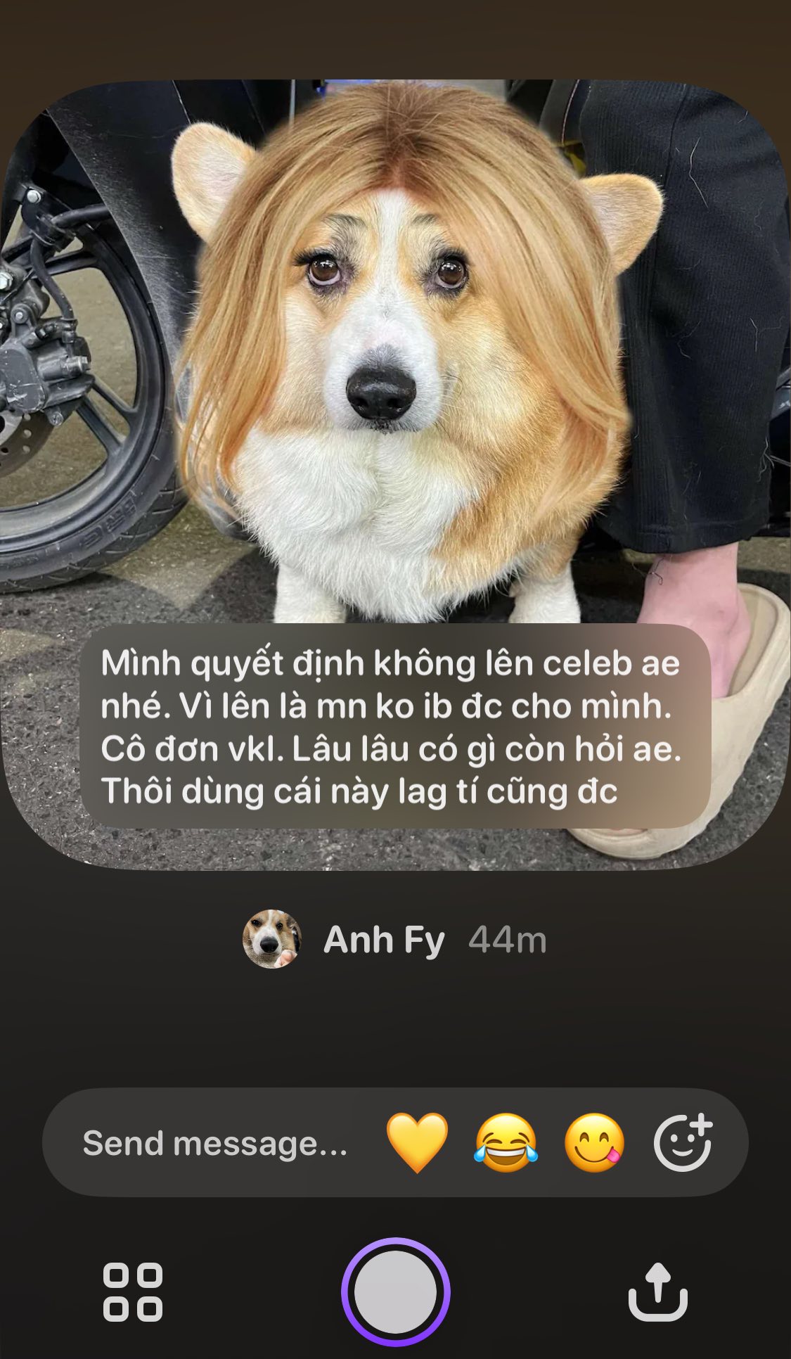 Locket Việt Nam | Ấu nầu🥹 | Facebook