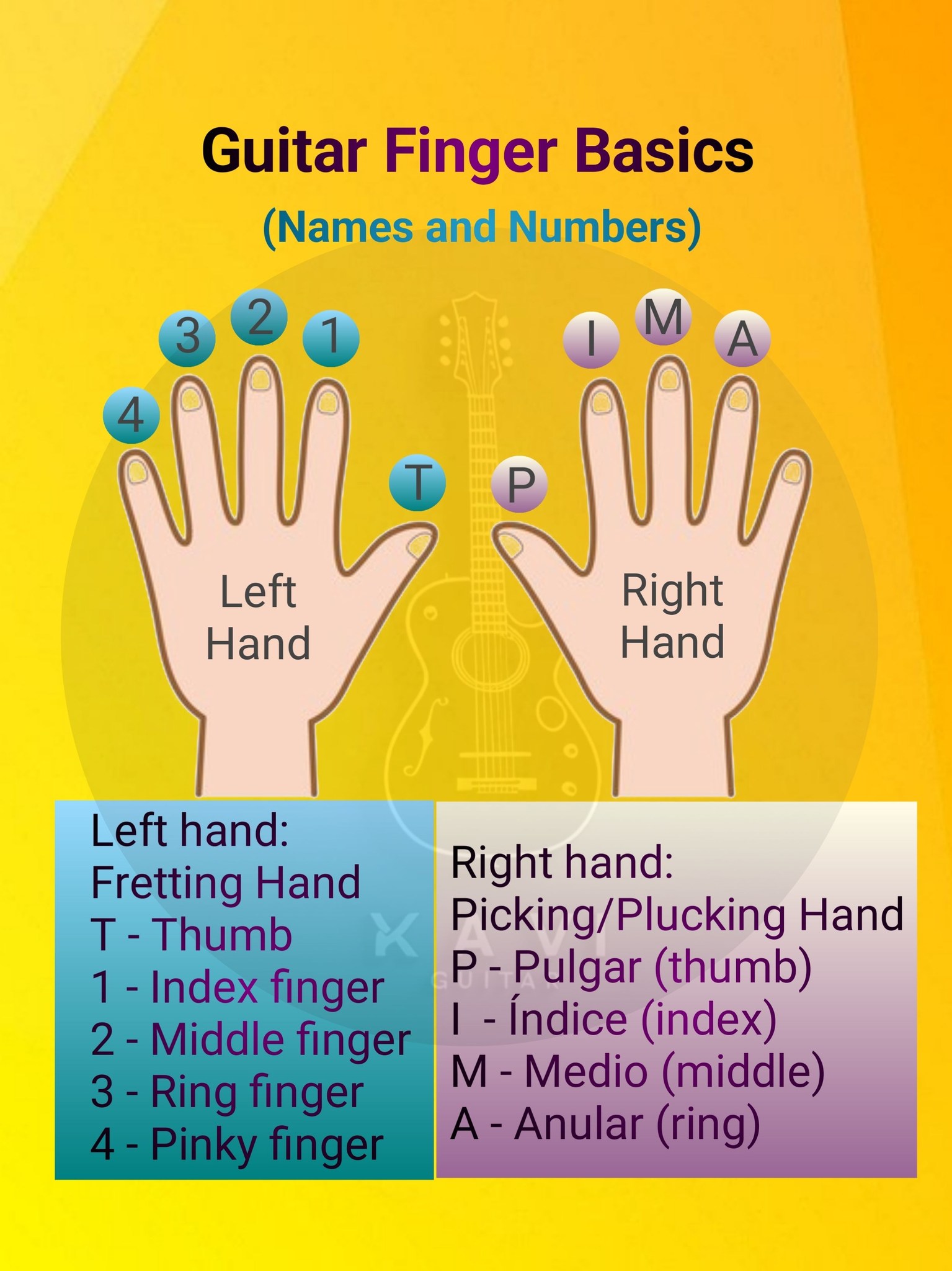 Xavi - Know your fingers before you play! 🎸 This simple guide makes ...