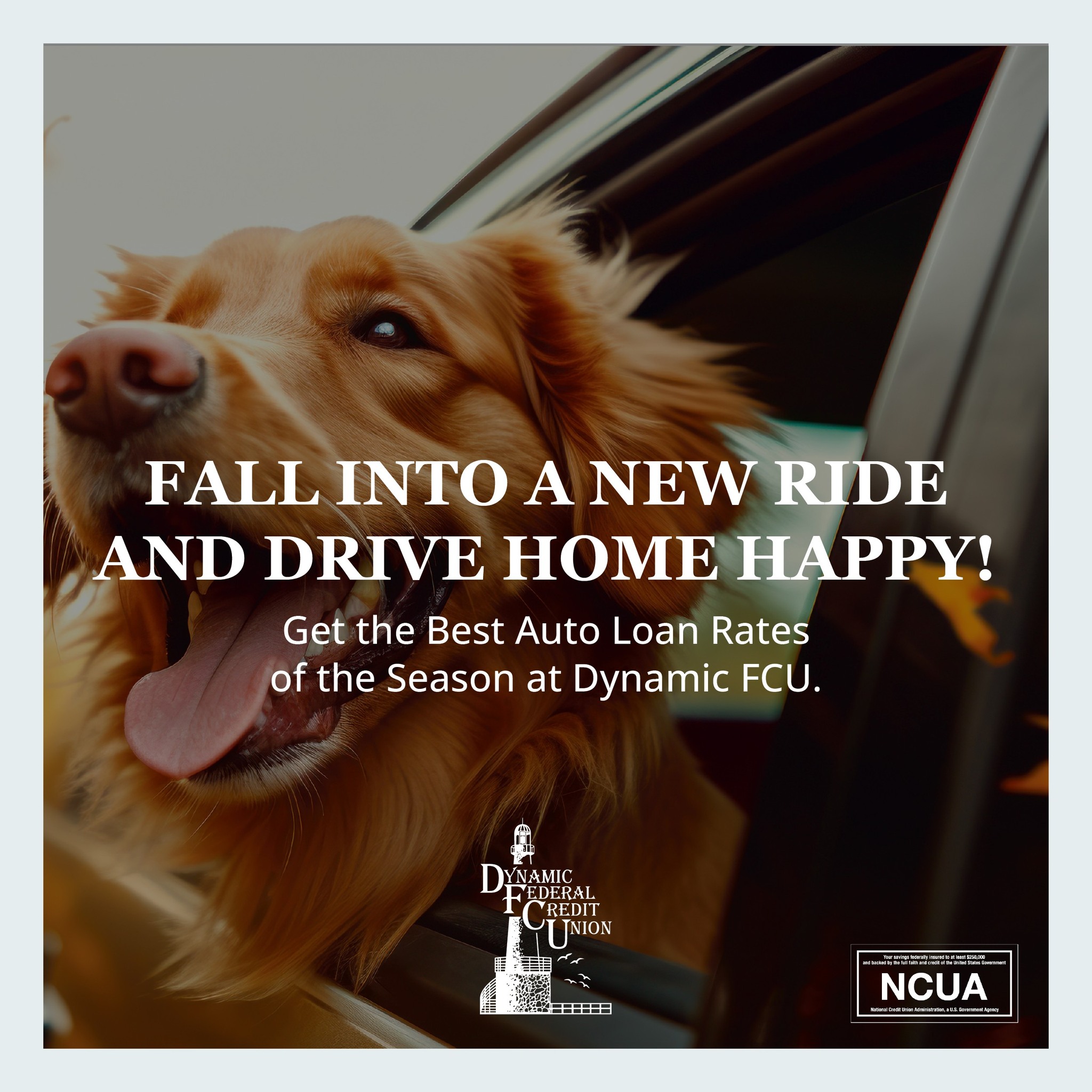 🍂 Ready to hit the road in... - Dynamic Federal Credit Union