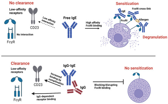 Antibodies MDPI - Read the Review now ️ A Comparison of... | Facebook