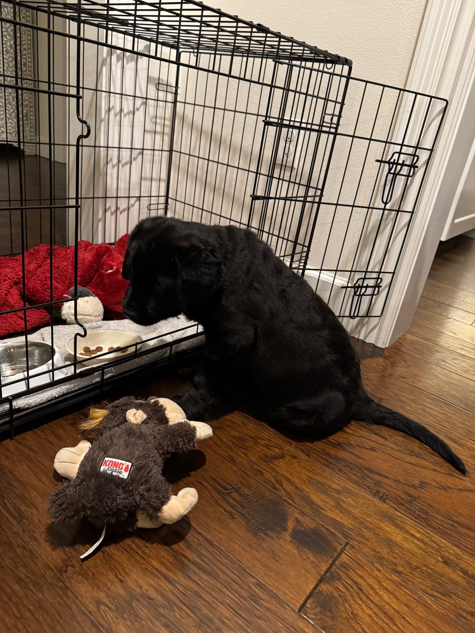 Jak's Second Chance... - Jak's Second Chance Rescue Ranch