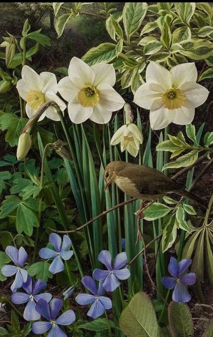Raymond Booth、Rhododendron'Cowslip'Raymond Booth (British, 1929