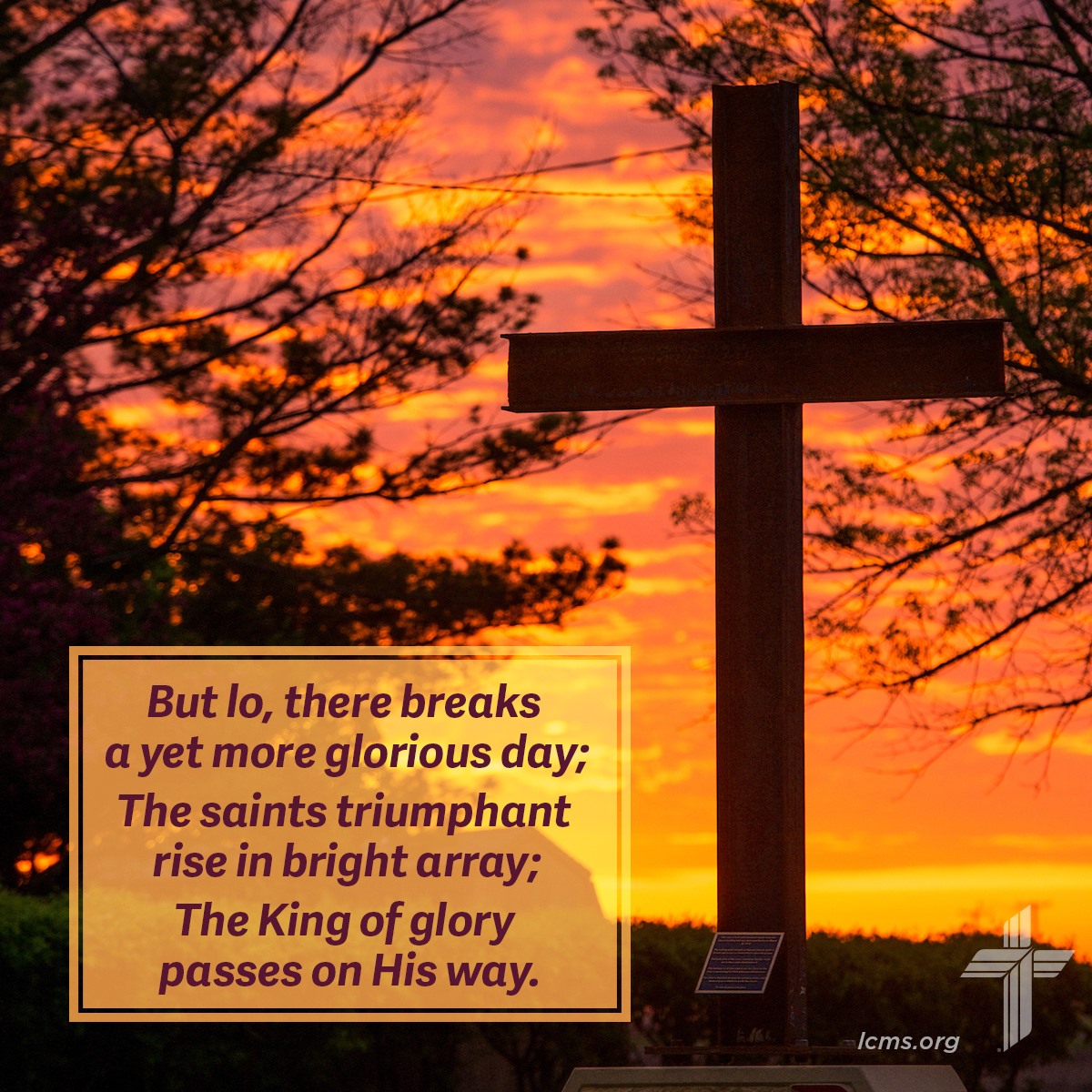 All Saints Day 1 Behold... - Trinity Lutheran Church - LCMS | Facebook