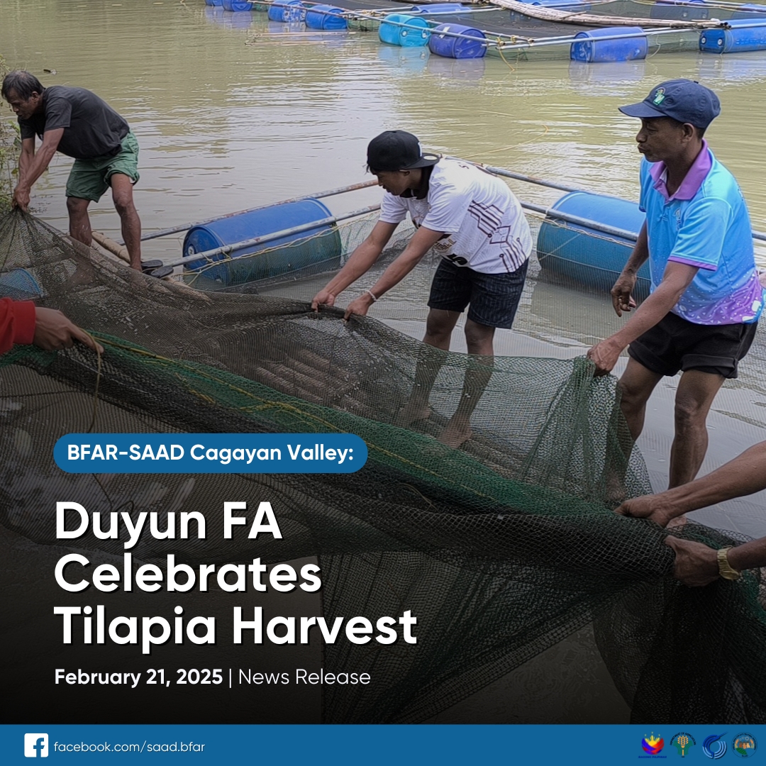 BFAR - Four (4) fishcages were deployed by the Duyun Fisherfolk ...