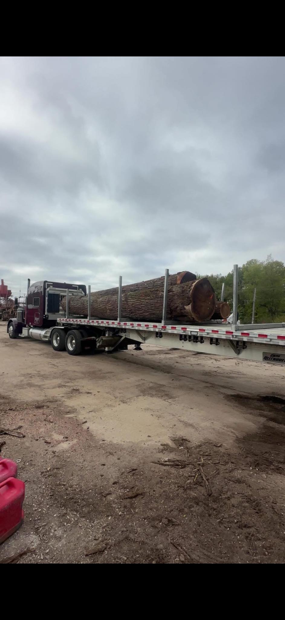 Anderson Logging LLC | Richland IA