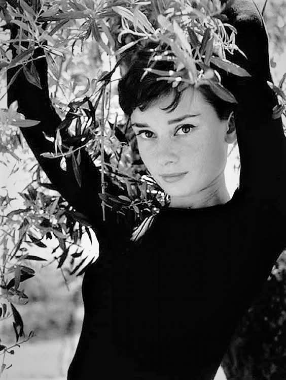 Audrey Hepburn's timeless style in 1956