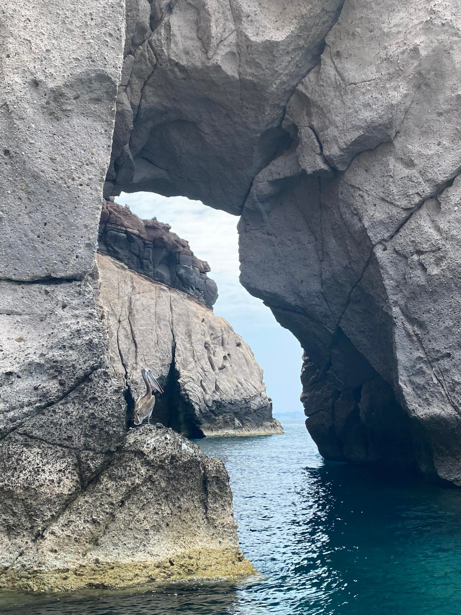 Papichulo TOURS | La Paz