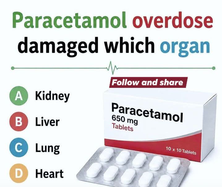 What happens when you take paracetamol? 💊 Your liver gets to work breaking it down into harmless bits. But here's the twist... Those bits need a taxi (yep, a molecule called glutathione)