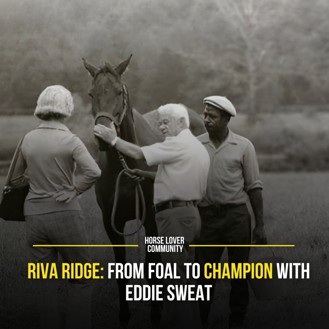 Horse - Before Riva Ridge became a two-time Eclipse Award winner and ...
